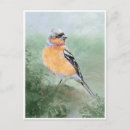 Search for bird postcards Watercolor