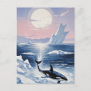 Search for orca killer whale invitations Alaska