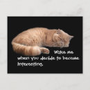 Search for cats sleeping postcards Funny