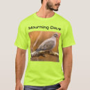 Search for mourning dove Beautiful