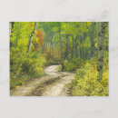 Search for solitude postcards Remote