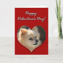 Search for pom dog cards Poms