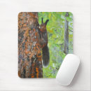 Search for squirrel mouse mats Woodland