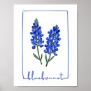 Search for bluebonnets posters Texas bluebonnet