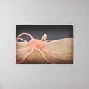 Search for horizontal canvas prints Microscopic