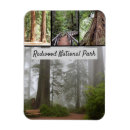 Search for redwood national park magnets Redwoods