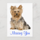 Search for yorkie puppy postcards Miss you