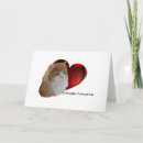 Search for maine coon cards Fluffy