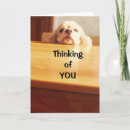 Search for hope you feel better cards Thinking of you