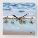Search for running clocks Nautical