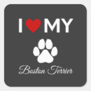 Search for boston terrier stickers Pets