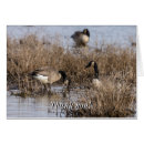 Search for canadian geese cards Wildlife