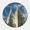 Search for lds magnets Salt