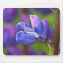 Search for stem mouse mats Green