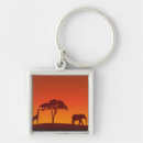 Search for savannah key rings Wild animals