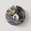 Search for cute sheep badges Farming