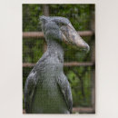 Search for nerd puzzles Shoebill