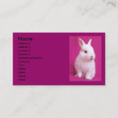 Search for rabbitt Cute