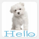 Search for maltese dog stickers Puppy