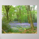 Search for deciduous posters Landscape