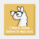 Search for wool magnets Cute