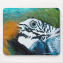 Search for 1 colour standard mouse mats Blue