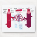 Search for arterial electronics Arteries