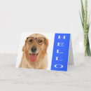 Search for golden puppy cards Dog
