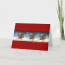 Search for turtle doves cards Animals