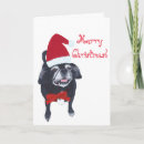 Search for black pug cards Red