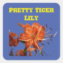 Search for tiger lily stickers Flowers