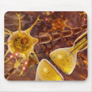 Search for neuron mouse mats Science