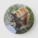 Search for grizzly bear clocks Animals