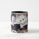 Search for white kitten mugs Kittens