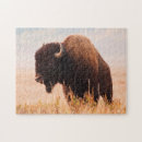 Search for bison puzzles Brown