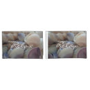 Search for sea shell pillowcases Summer