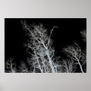 Search for sentinel art Nature