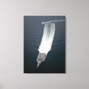 Search for lcs art Underway
