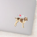 Search for italiano stickers Spinone