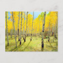 Search for colourful trees postcards Botanical