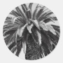 Search for green palm leaf stickers Closeup