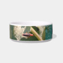 Search for ferret pet bowls Ferrets