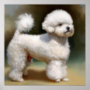 Search for bichons posters Animal