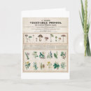 Search for old poster cards Vintage