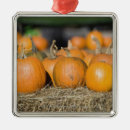 Search for selective focus christmas tree decorations Shiny