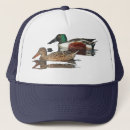 Search for avians hats Animal