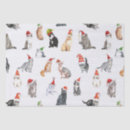 Search for cat tissue paper Cute