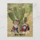 Search for mexican cat postcards Sombrero