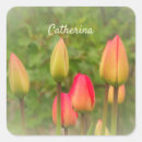 Search for spring photos stickers Garden