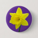 Search for daffodil day badges Wales